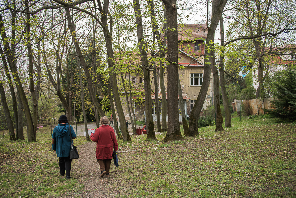 Giskrova vila, zahradní dřevodomek Ernsta Wiesnera a okolí Arnoldovy vily